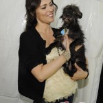 ImageBam image upload