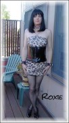 imagebam.com