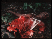 [A O D ]Umberto Lenzi's   Eaten Alive! 1980 Unut DVD 5 preview 4