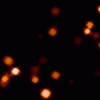 6f0e7d25537267.gif