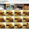 free image host