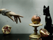 90692a40058736.gif