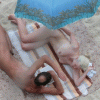 ec677f44075112.gif