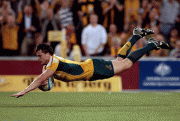 aa174a47912336.gif