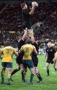 4dc5e149347603.gif