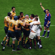 530e4d55158555.gif
