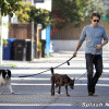 http://thumbnails14.imagebam.com/7074/24266f70732703.gif http://thumbnails14.imagebam.com/7074/24266f70732703.gif