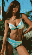 imagebam.com